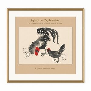 🐓 “Japanische Vogelstudien” Vintage Rooster & Hen Print – K.K. Österreichischen